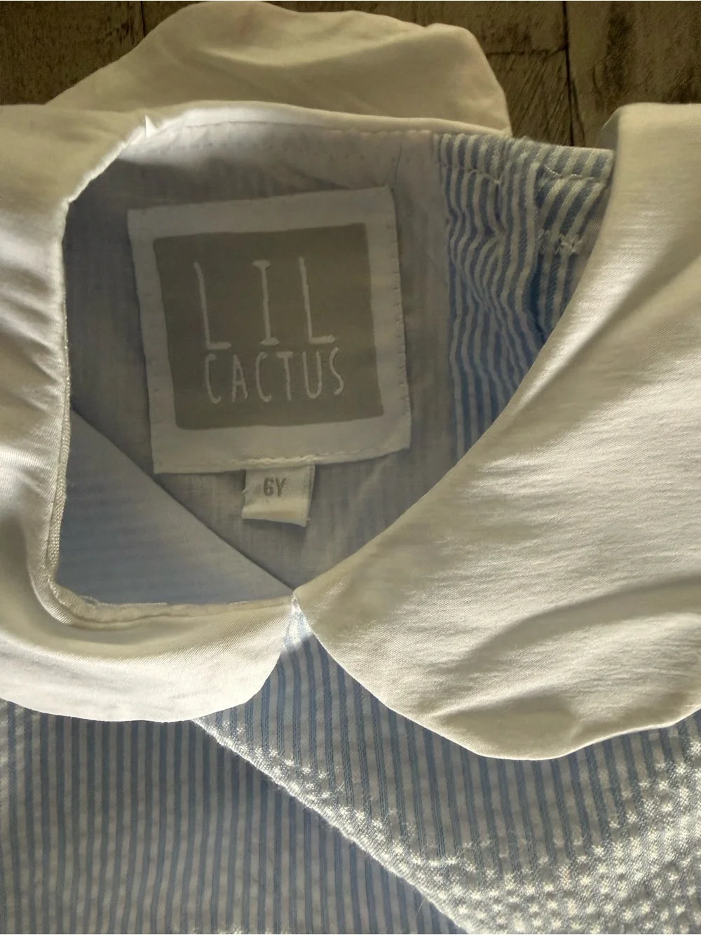 Lil Cactus Kids Pumpkin Appliqué Seersucker Dress - Light Blue Size 6Y